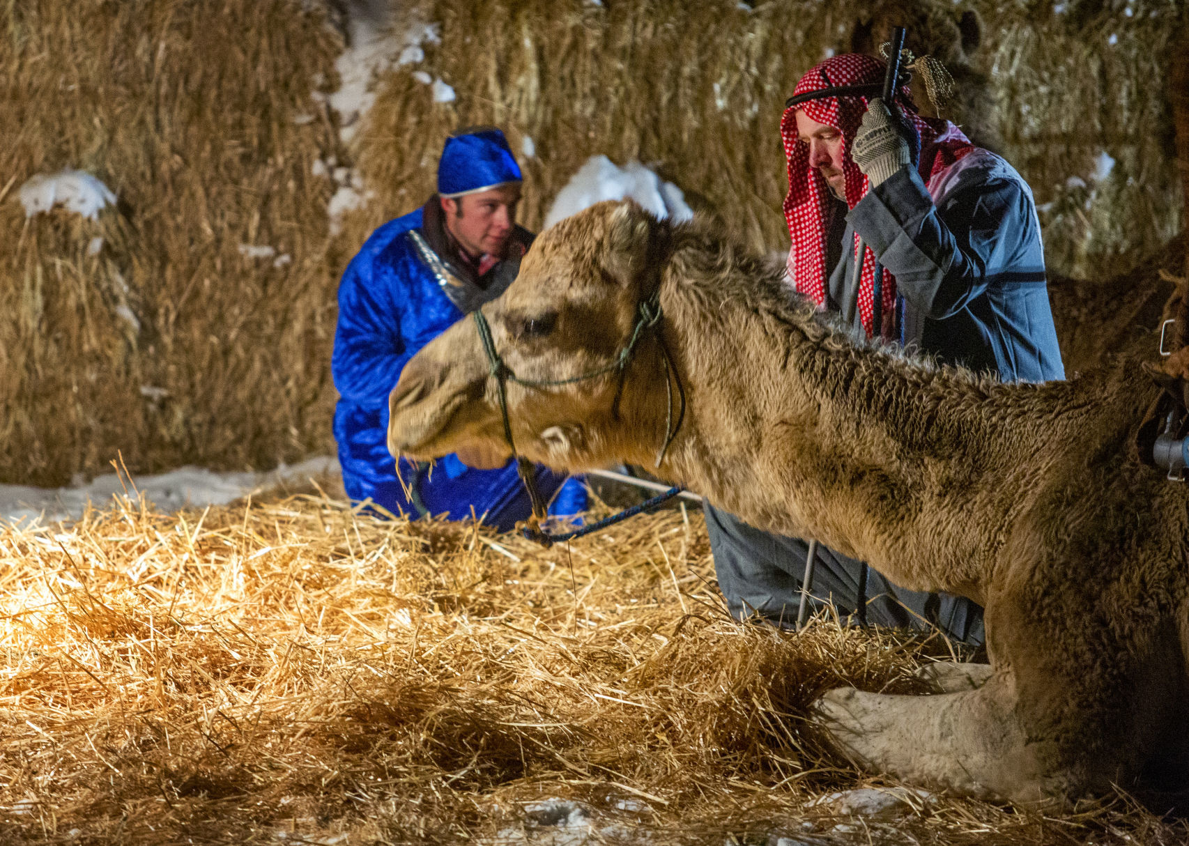 Albion live nativity